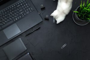 Lenovo ThinkPad P17 Gen 2 to idealny laptop do pracy lub nauki